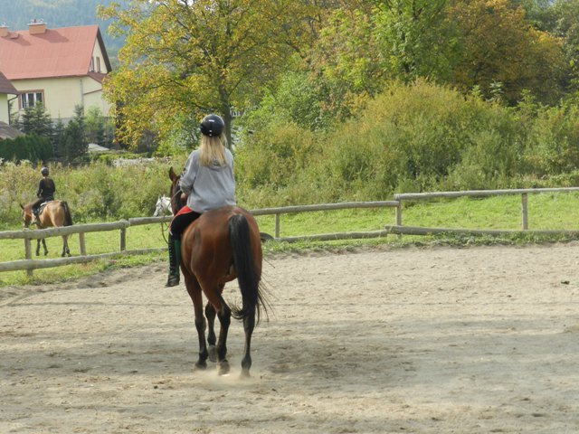 Babie Lato 2016